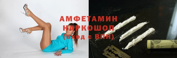 гидра Алексин