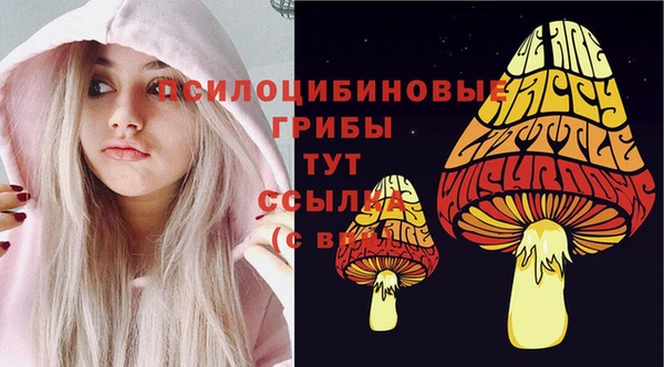 винт Алексеевка