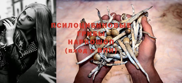 гидра Алексин