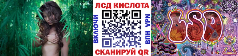 Наркотические марки 1,8мг купить наркоту Лукоянов